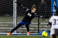 Lower Dauphin keeper Nahla Raab playing poised beyond years for state championship-bound Falcons