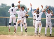 Meet the Camp Hill Lions baseball team competing for a PIAA 3A championship